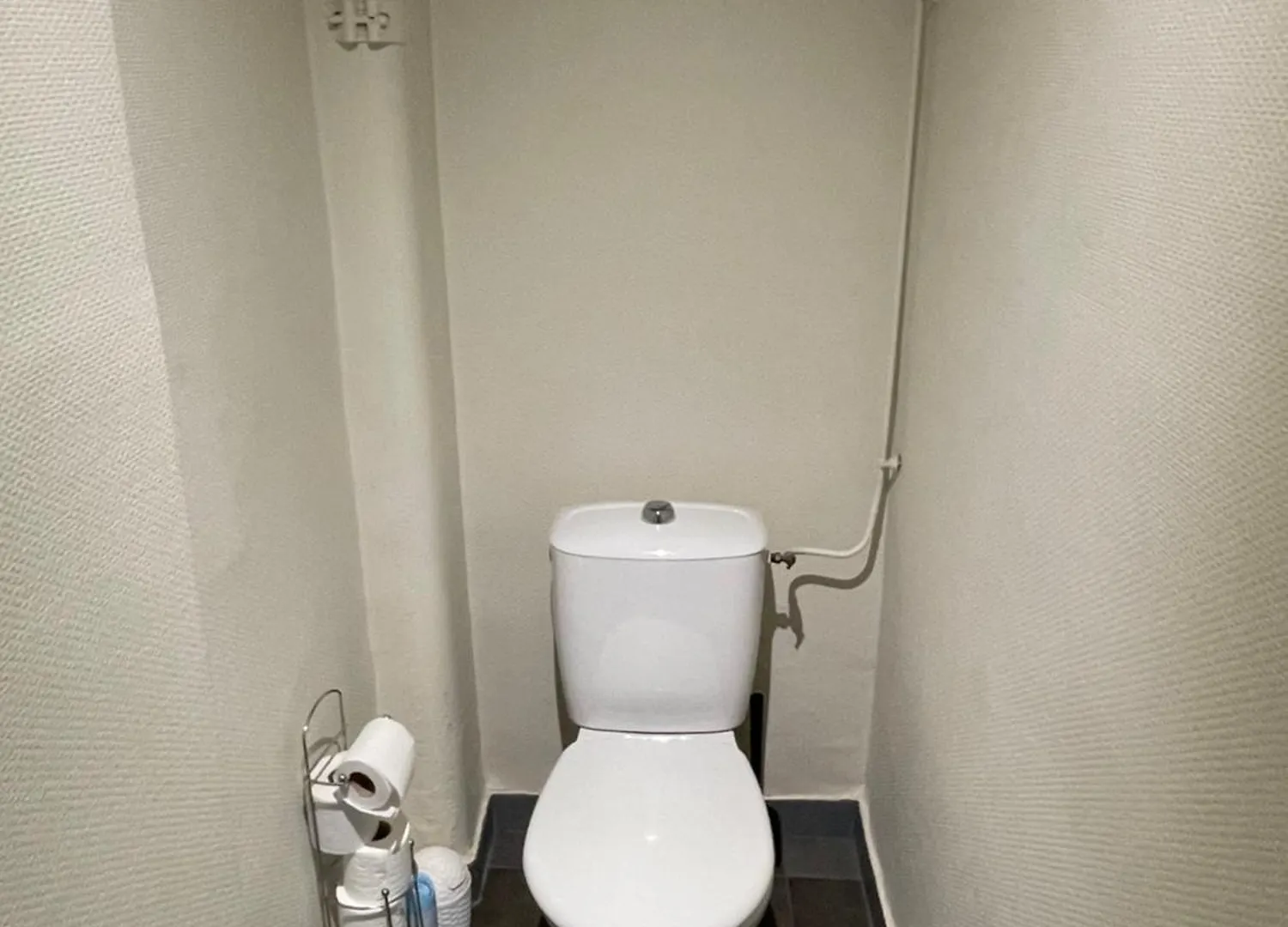 Apartment T4 3 Chambres Proche Grattes Ciel, Villeurbanne, Meuble